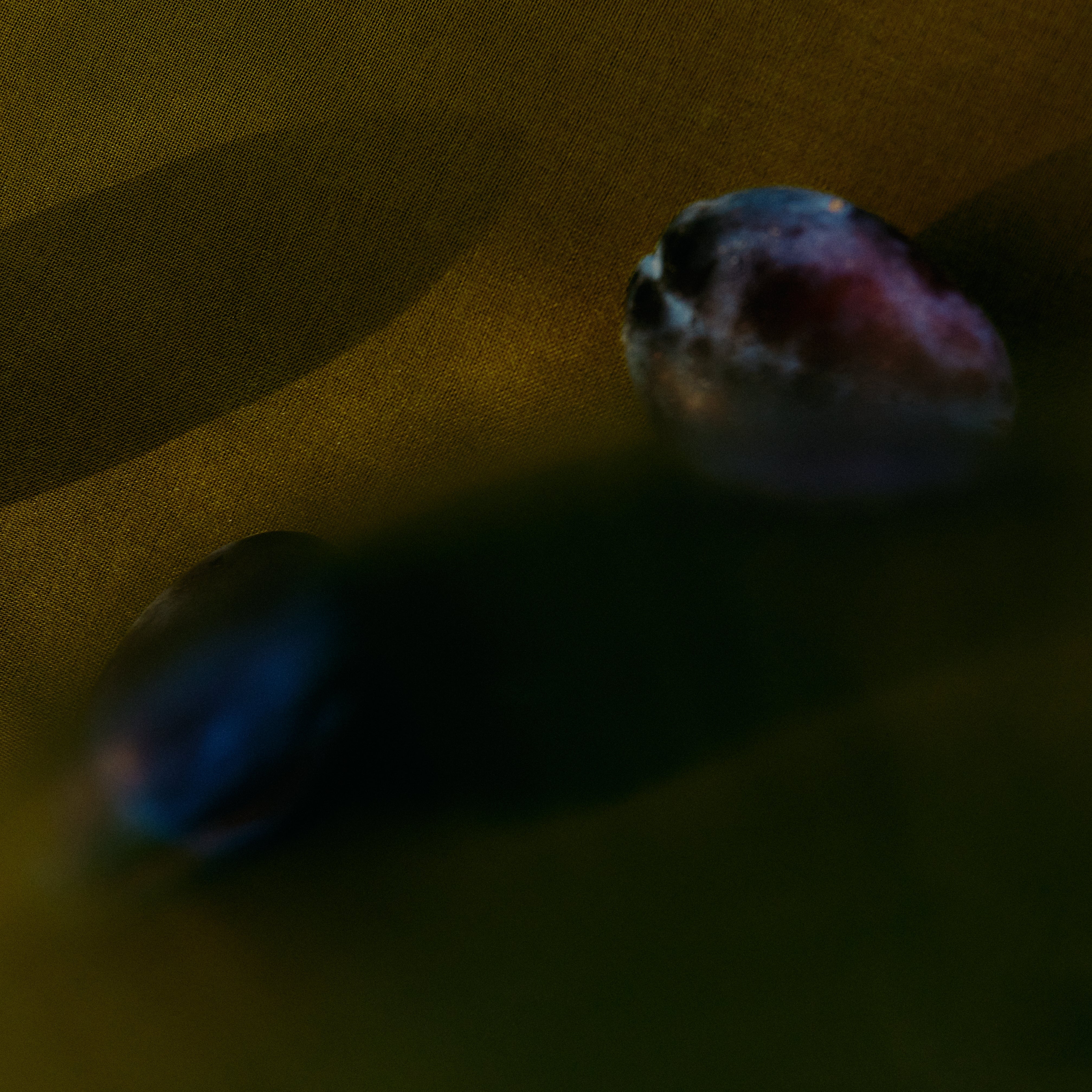 HUMANFORMS P.M. PLAYLIST / WINTER 2025